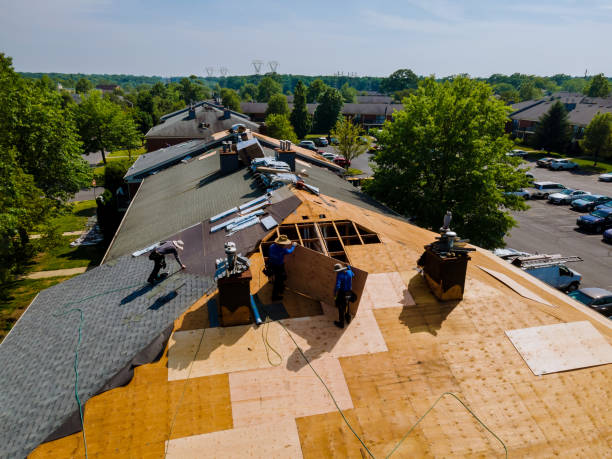 Trusted Roof Replacement service in Moscow, TX - Brentwood Metal Roofing